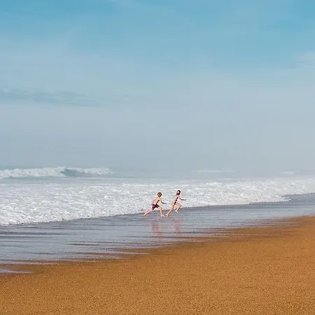 Florida 4*