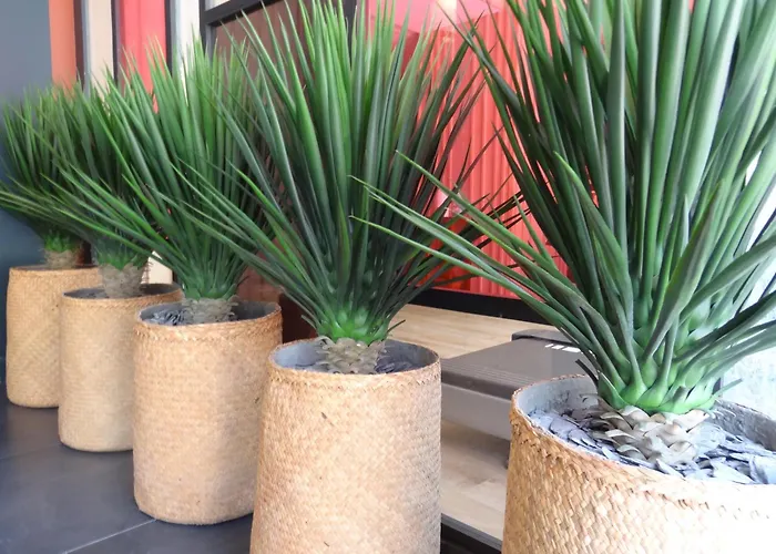 Отель Florida 4*